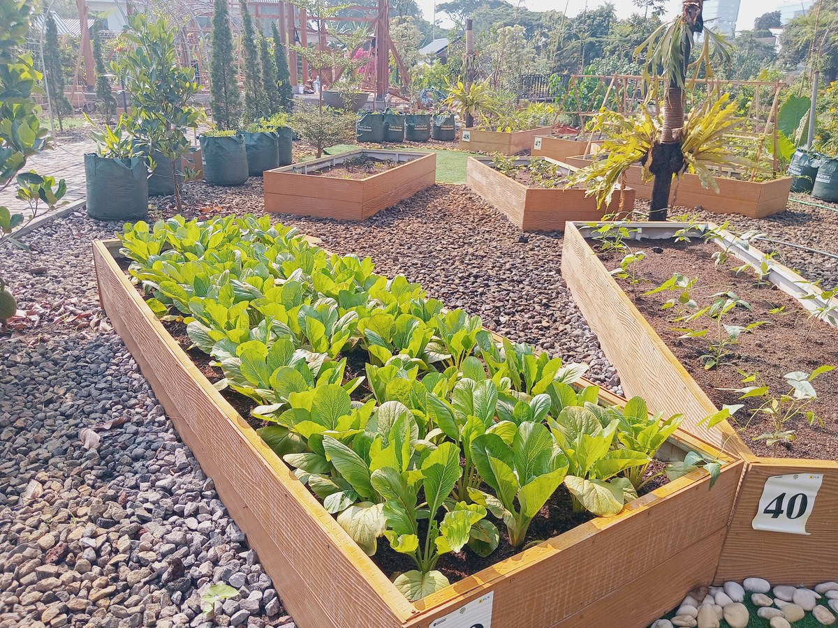Cabai Rawit Organik Premium 1kg