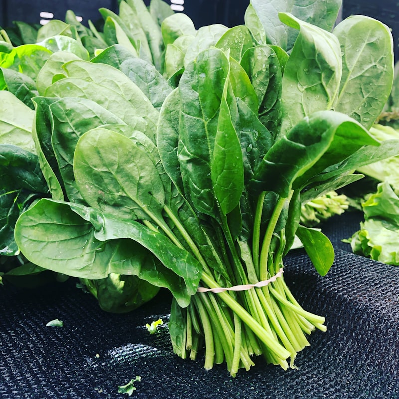 Sayur Organik Kangkung Segar