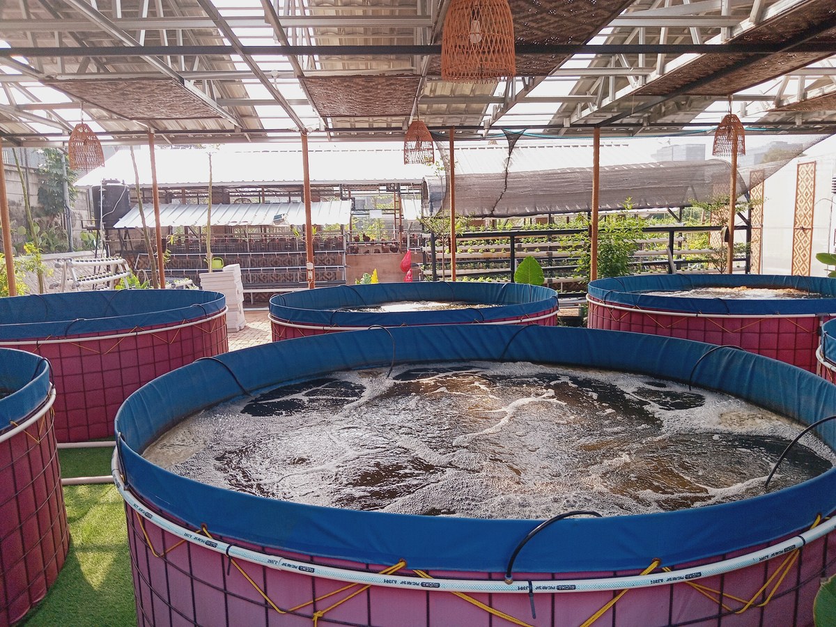 Paket Starter Kolam Bioflok