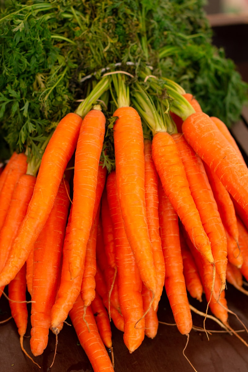 Sayur Organik Wortel Segar